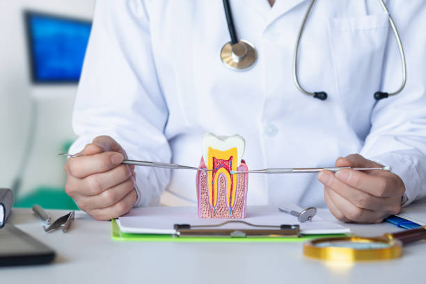 Best Same-Day Emergency Dentist in Hudson Bend, TX